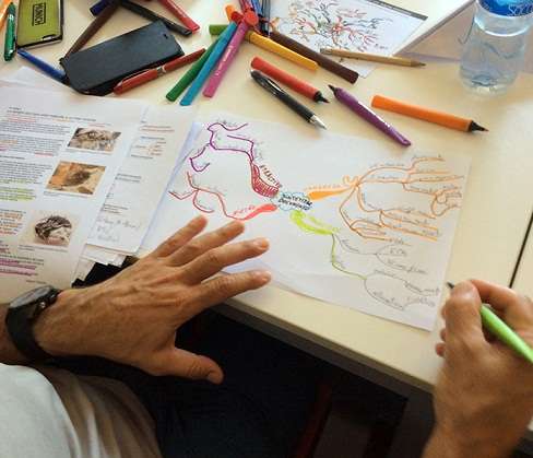 elaborando-mapas-mentales elaborando-mapas-mentales